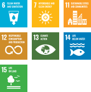 Sustainable Development Goal