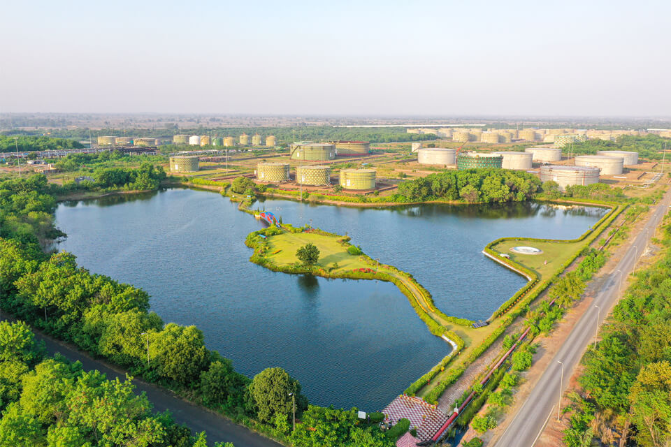 Story of our Symphony :  with Water, Air, and Plants